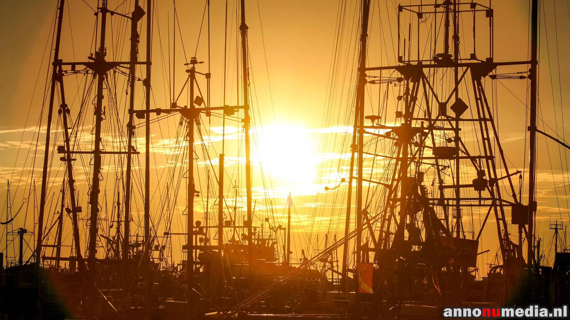 Steveston Harbour